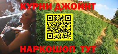 spice Новодвинск