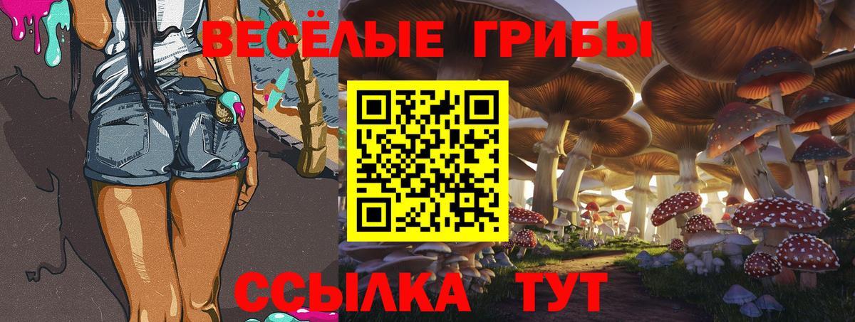 Псилоцибиновые грибы GOLDEN TEACHER  Вход с VPN  Галлюциногенные грибы прущие грибы  закладка  Новоуральск 